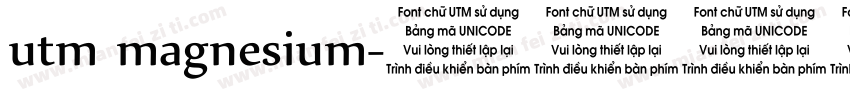 utm magnesium字体转换